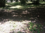 Satılır 45 sot torpaq Qax