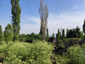 Satılır 3 otaqlı 100 m2 bağ evi Şamaxı