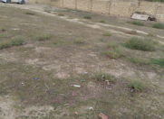 Satılır 6 sot torpaq Saray