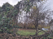 Satılır 12 sot torpaq Qəbələ