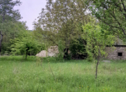 Satılır 10 sot torpaq Qəbələ