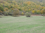 Satılır 200 sot torpaq Oğuz