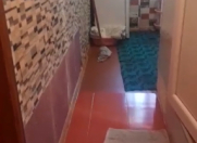 Satılır 2 otaqlı 54 m2 köhnə tikili Yevlax