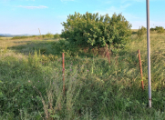 Satılır 12 sot torpaq İsmayıllı