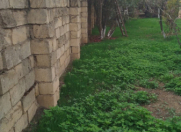 Satılır 2 sot torpaq Biləsuvar