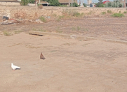 Satılır 6 sot torpaq Şağan