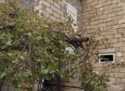 Satılır 4 otaqlı 100 m2 həyət evi Gənclik Mall