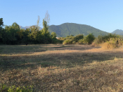 Satılır 21 sot torpaq Qəbələ