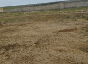 Satılır 13 sot torpaq Novxanı