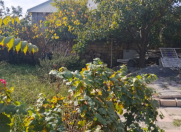 Satılır 4 sot torpaq Mingəçevir