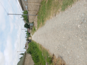 Satılır 6 sot torpaq Xaçmaz