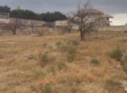 Satılır 50 sot torpaq Saray