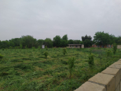 Satılır 40 sot torpaq Tərtər