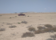 Satılır 2500 sot torpaq Binə ticarət mərkəzi