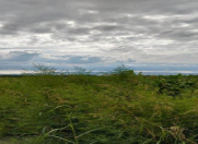 Satılır 2980 sot torpaq Şəki