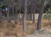 Satılır 40 sot torpaq Gənclik m.