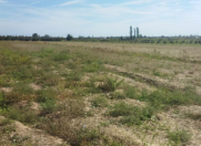 İcarəyə verilir 520 sot torpaq Xızı