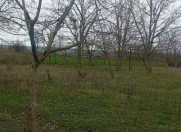 Satılır 30 sot torpaq Qəbələ