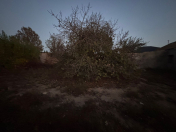 Satılır 8 sot torpaq Qala