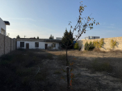 Satılır 7.53 sot torpaq Mərdəkan