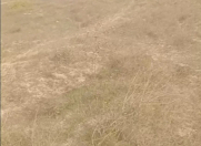 Satılır 12 sot torpaq Nardaran