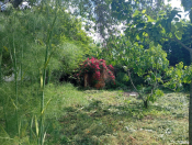 Satılır 20 sot torpaq İsmayıllı