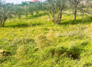 Satılır 3 otaqlı 85 m2 bağ evi Novxanı