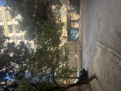 İcarəyə verilir 20 m2 qaraj Lider telekanalı