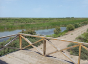 Satılır 50 otaqlı 1000 m2 obyekt Neftçala