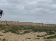 Satılır 300 sot torpaq Mehdiabad