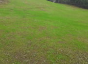 Satılır 12 sot torpaq Lerik