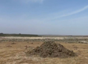 Satılır 1100 sot torpaq Hökməli