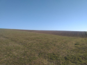 Satılır 14 sot torpaq Bayıl parkı