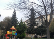 Satılır 1 otaqlı 30 m2 köhnə tikili 8 km