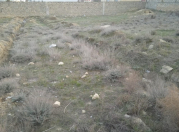 Satılır 4 sot torpaq Badamdar