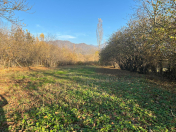 Satılır 12 sot torpaq İsmayıllı