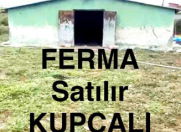 Satılır 4 otaqlı 450 m2 obyekt Xaçmaz