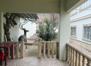 İcarəyə verilir 4 otaqlı 200 m2 həyət evi Qusar