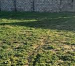 Satılır 24 sot torpaq Şüvəlan