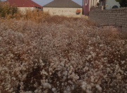 Satılır 3 sot torpaq Zabrat 2