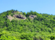 Satılır 200 sot torpaq Qusar