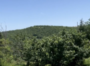 Satılır 27 sot torpaq Şabran