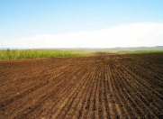 Satılır 22 sot torpaq Füzuli