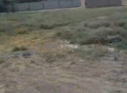 Satılır 10 sot torpaq Naxçıvan