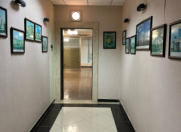 Satılır 4 otaqlı 230 m2 obyekt Şah İsmayıl Xətai m.