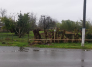 Satılır 20 sot torpaq Lənkəran