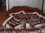 Satılır 3 otaqlı 100 m2 yeni tikili Xırdalan