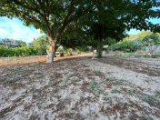 Satılır 15 sot torpaq Mərdəkan