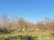 Satılır 18 sot torpaq Qəbələ