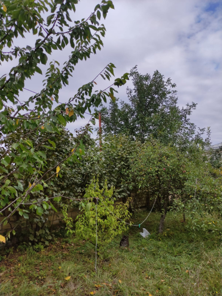 Satılır 3 sot torpaq Qusar